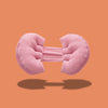 Coussin de grossesse