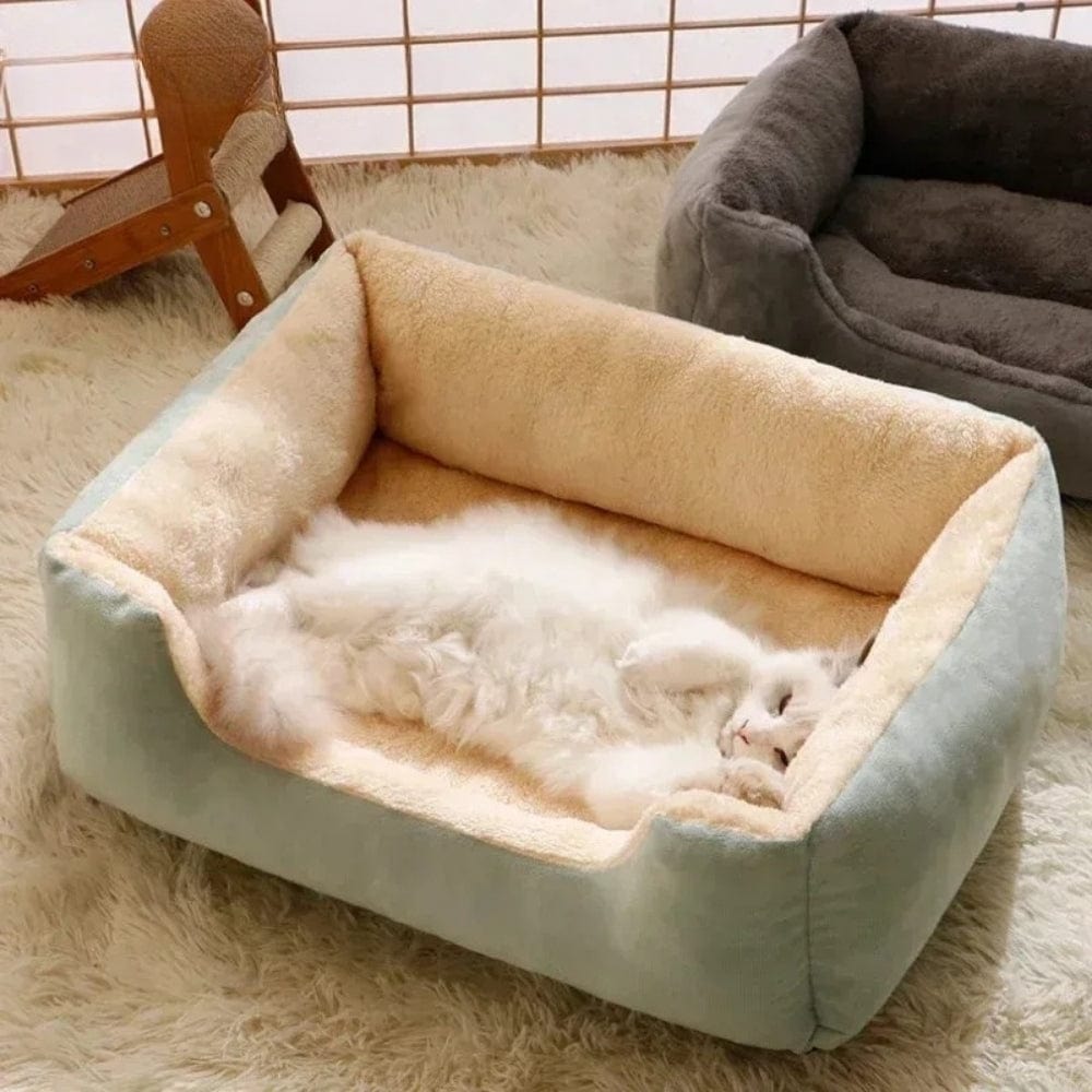 Coussin de chat en velours bleu clair et beige, placé sur un tapis doux, avec un chat allongé à l'intérieur
