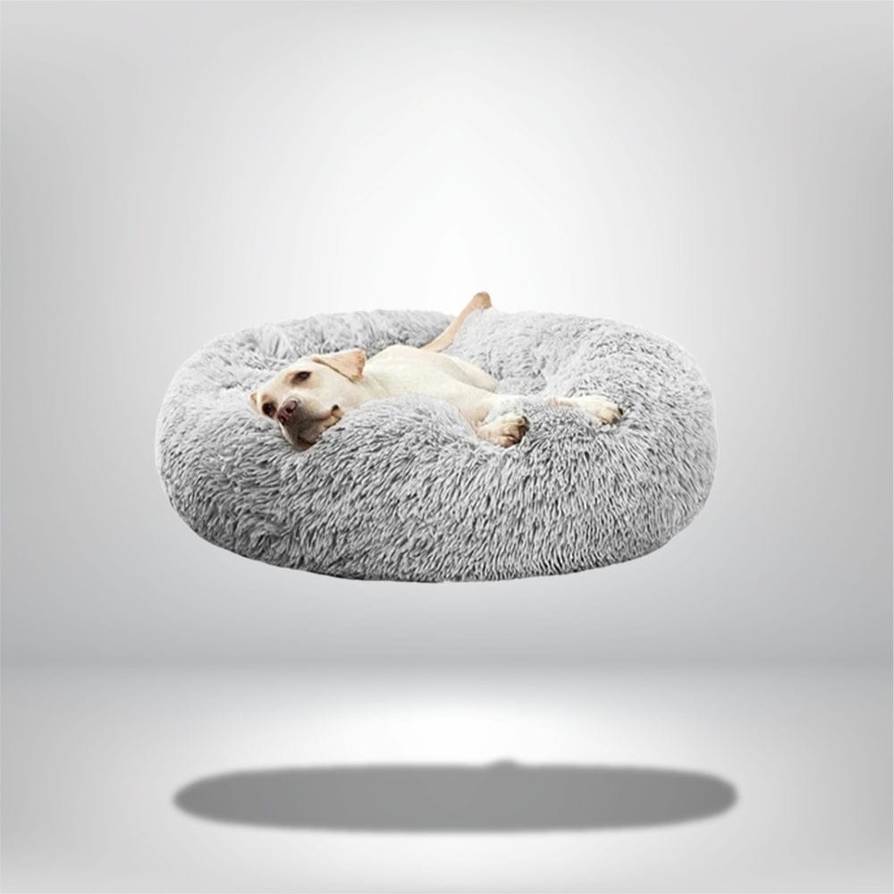 Coussin de chien rond en peluche grise, installé sur un fond neutre, avec un chien allongé confortablement dessus