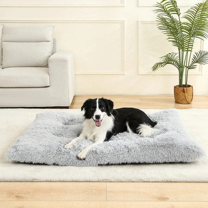 Coussin de sol gris en fourrure douce, posé sur un tapis, avec un chien noir et blanc allongé dessus