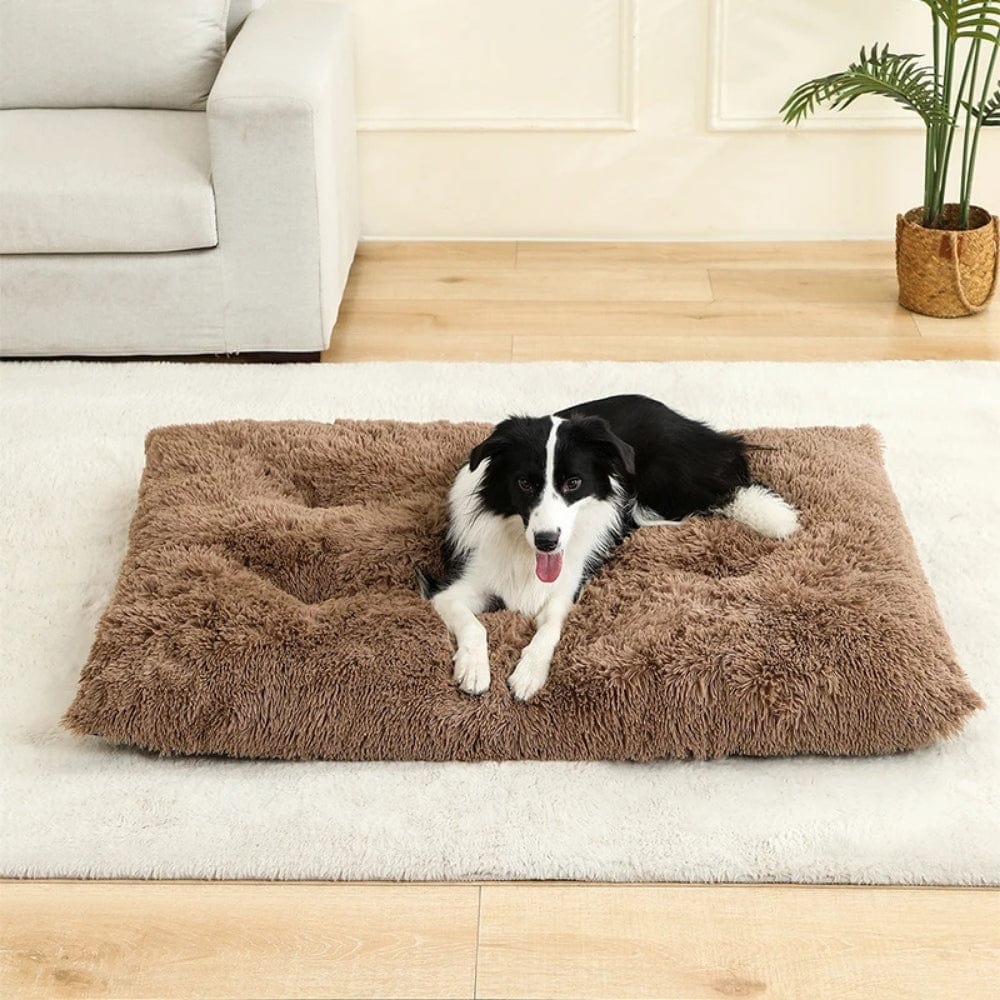 Coussin de sol en peluche marron, posé sur un tapis blanc, avec un chien allongé dessus dans un salon moderne
