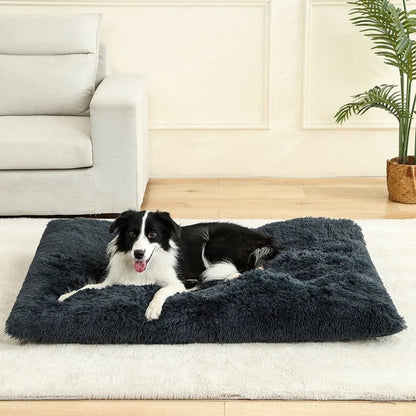 Coussin de sol moelleux et doux, couleur gris foncé, sur un tapis blanc avec un chien allongé