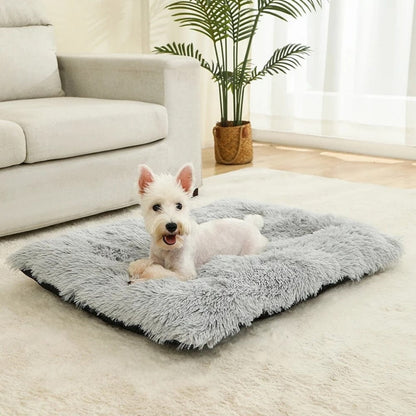 Coussin de sol gris en peluche, placé sur un tapis doux, avec un chien heureux allongé dessus