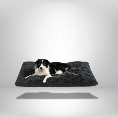 Coussin Chien Confort Optimal