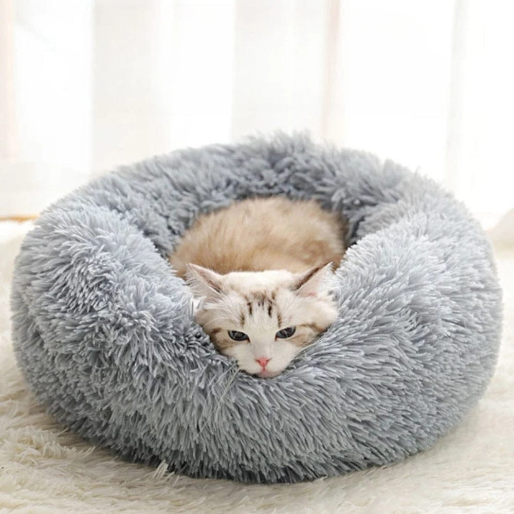 Coussin rond en peluche grise avec un chat allongé, posé sur un tapis doux dans un intérieur lumineux